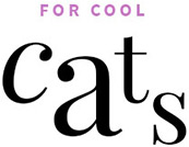 For Cool Cats